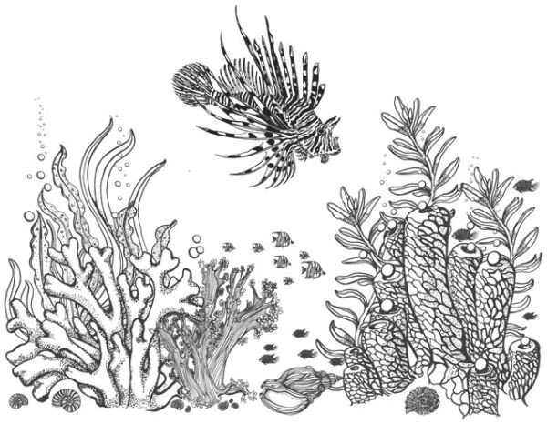 Иллюстрация к книге — Песнь бездны [i_028.webp]