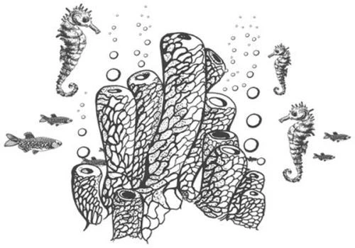 Иллюстрация к книге — Песнь бездны [i_036.webp]