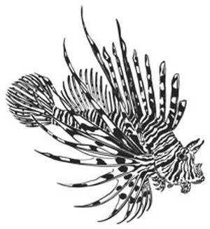 Иллюстрация к книге — Песнь бездны [i_039.webp]