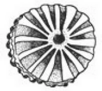 Иллюстрация к книге — Песнь бездны [i_044.webp]