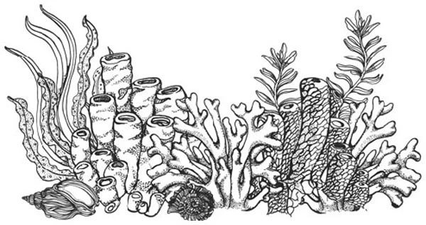 Иллюстрация к книге — Песнь бездны [i_055.webp]