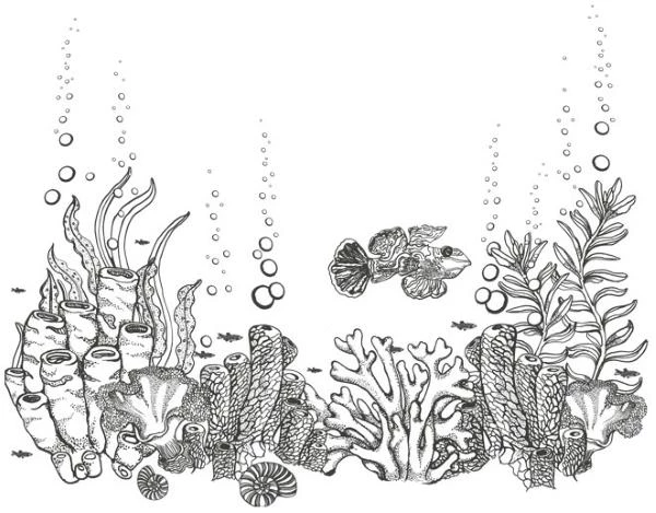 Иллюстрация к книге — Шепот глубин [i_006.webp]