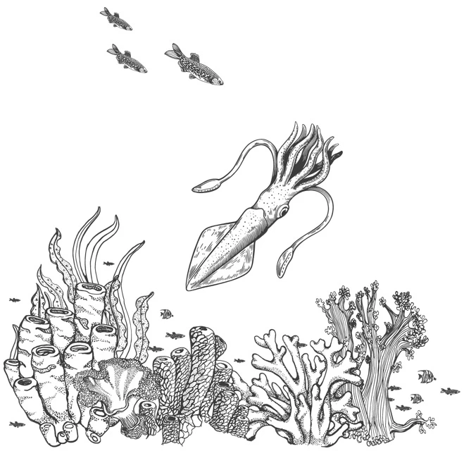 Иллюстрация к книге — Шепот глубин [i_010.webp]