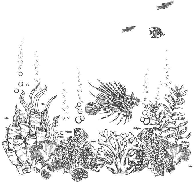 Иллюстрация к книге — Шепот глубин [i_013.webp]