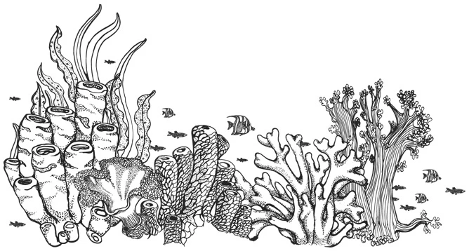 Иллюстрация к книге — Шепот глубин [i_026.webp]