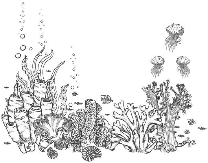 Иллюстрация к книге — Шепот глубин [i_036.webp]