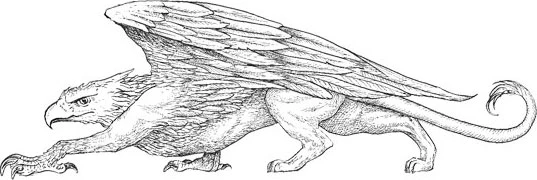 Иллюстрация к книге — Ониксовый шторм [i_004.webp]