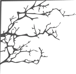 Иллюстрация к книге — Рейвен [book-illustration.webp]