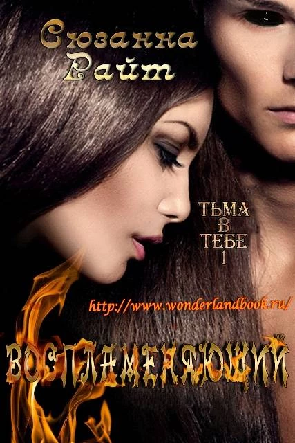 Иллюстрация к книге — Воспламеняющий [book-illustration.webp]