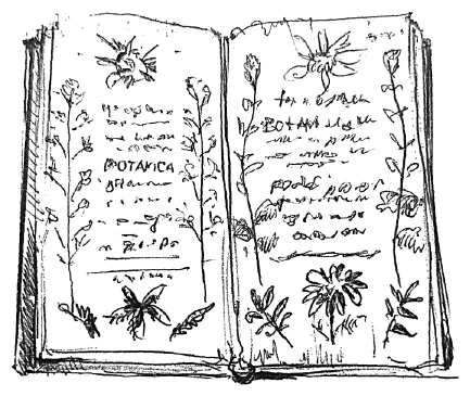 Иллюстрация к книге — Ведьмин смех [book-illustration-100.webp]