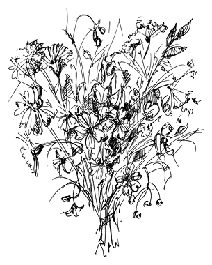 Иллюстрация к книге — Ведьмин смех [book-illustration-103.webp]