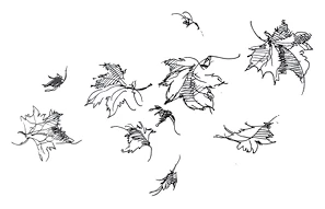 Иллюстрация к книге — Ведьмин смех [book-illustration-113.webp]