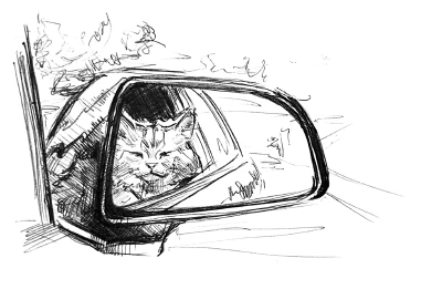 Иллюстрация к книге — Ведьмин смех [book-illustration-49.webp]