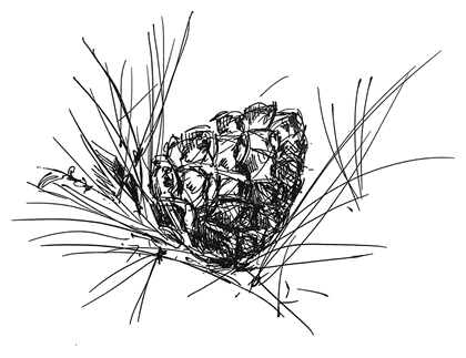 Иллюстрация к книге — Ведьмин смех [book-illustration-72.webp]