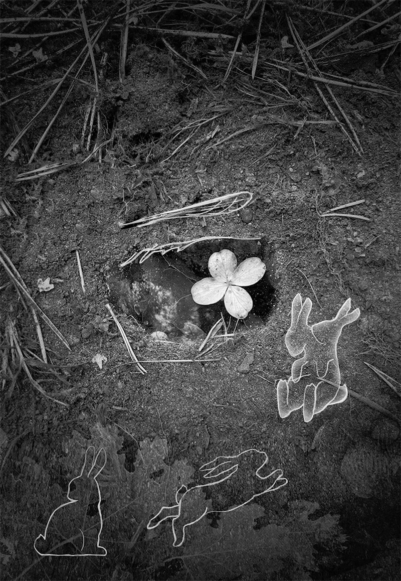 Иллюстрация к книге — Невидимые голоса [book-illustration-1.webp]