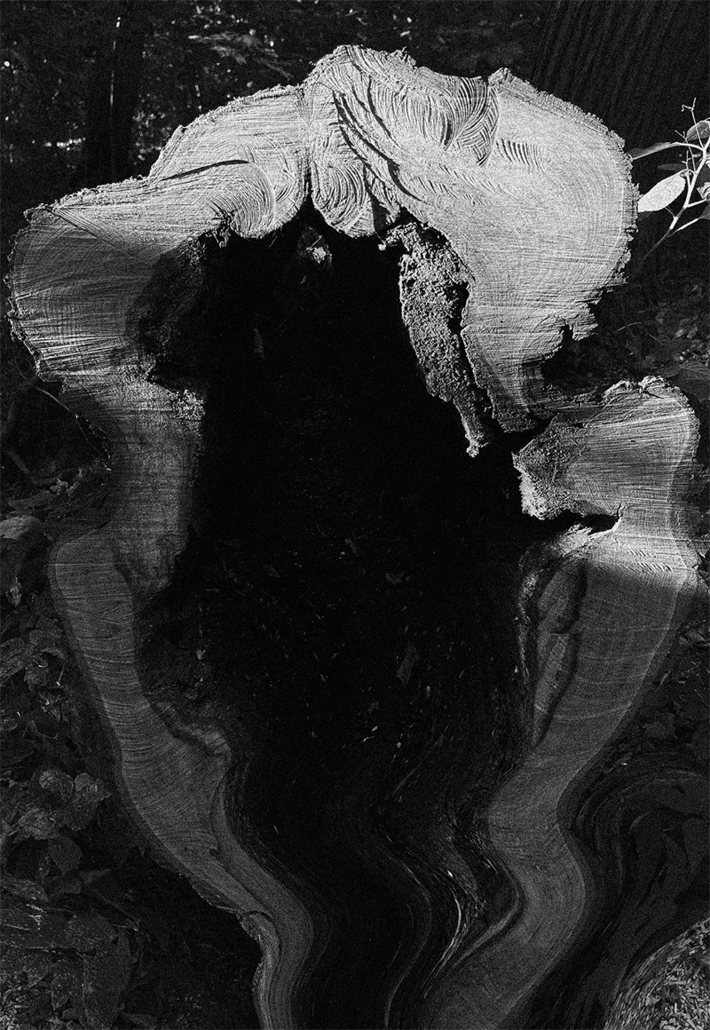 Иллюстрация к книге — Невидимые голоса [book-illustration-4.webp]