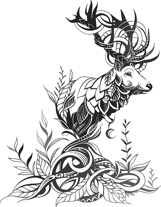 Иллюстрация к книге — Танец со Зверем [book-illustration-4.webp]