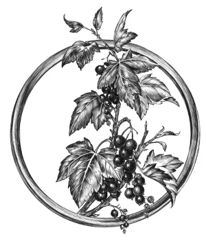 Иллюстрация к книге — Золотая свирель. Том 2 [book-illustration-24.webp]