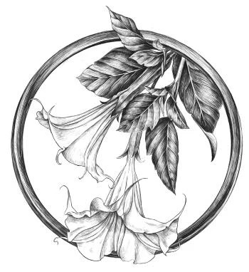 Иллюстрация к книге — Золотая свирель. Том 1 [book-illustration-14.webp]