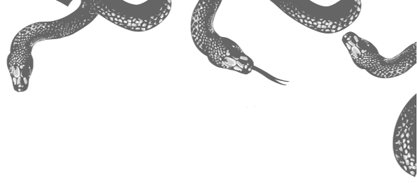 Иллюстрация к книге — Ужасно богатый вампир [book-illustration-2.webp]