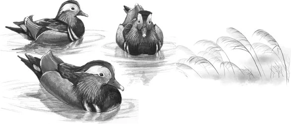 Иллюстрация к книге — Янтарь рассеивает тьму. Мелодия демона [book-illustration-7.webp]