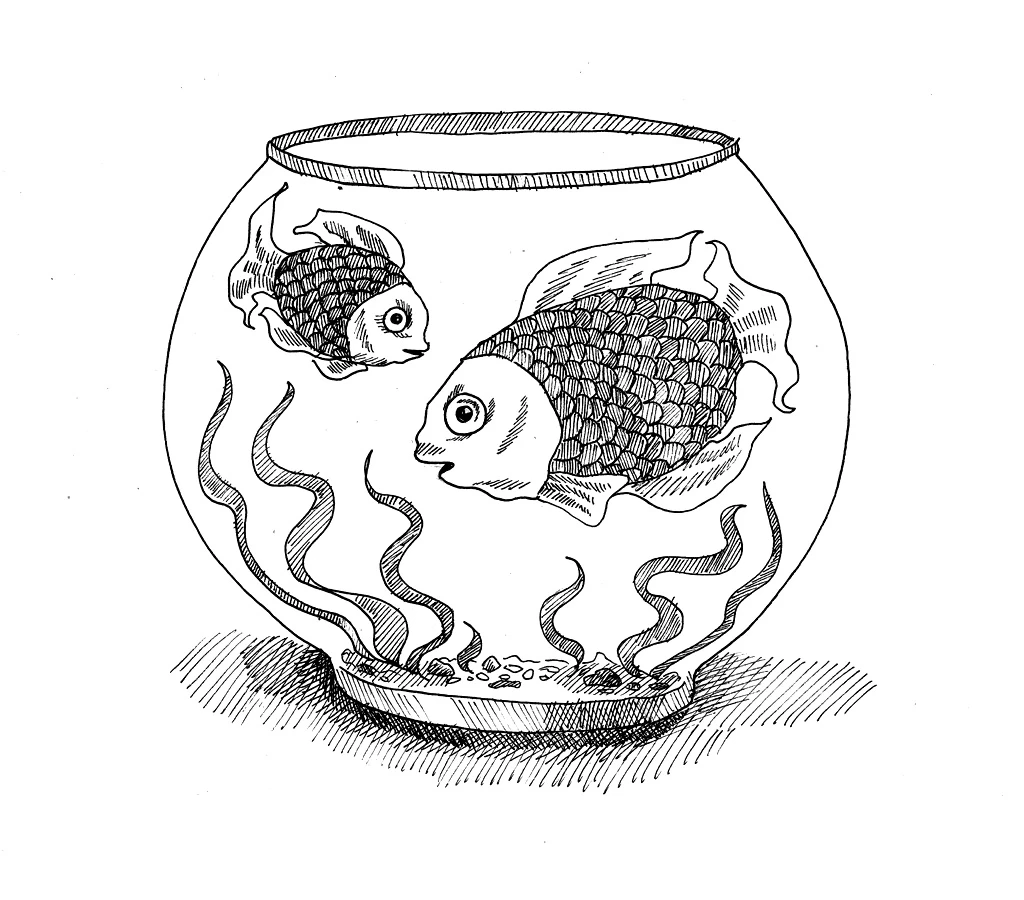 Иллюстрация к книге — 54 по шкале магометра [book-illustration-29.webp]