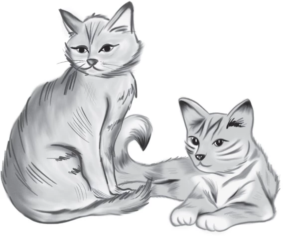 Иллюстрация к книге — Где сокрыта библиотека [book-illustration-12.webp]