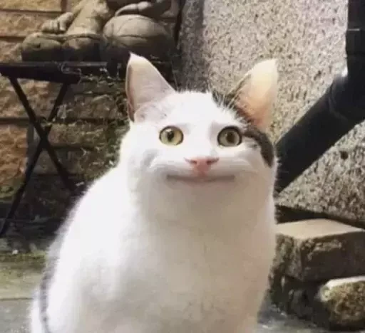 Иллюстрация к книге — В самом Сердце Стужи. Том V [book-illustration-3.webp]