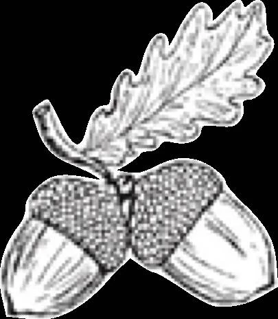 Иллюстрация к книге — Полукровка [book-illustration-7.webp]