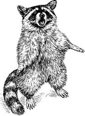 Иллюстрация к книге — Полукровка [book-illustration-8.webp]