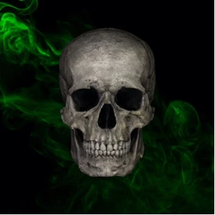 Иллюстрация к книге — По ту сторону тьмы [book-illustration-2.webp]