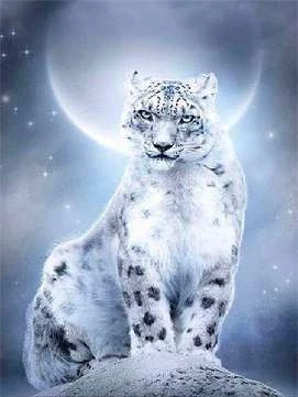 Иллюстрация к книге — Искушение Фрейи [book-illustration-46.webp]