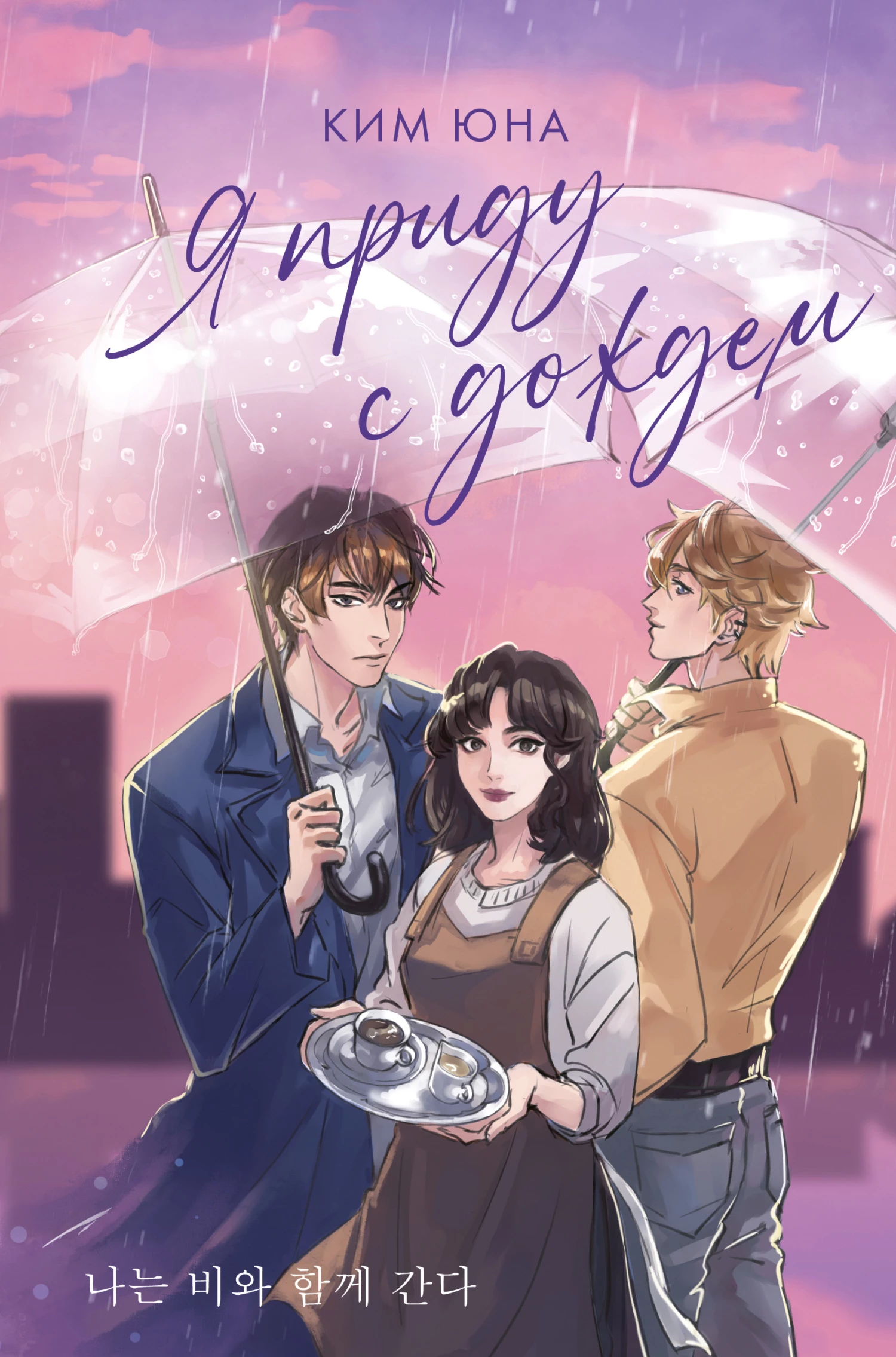 Книга Я приду с дождём