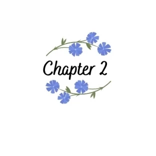 Иллюстрация к книге — Свобода [book-illustration-10.webp]