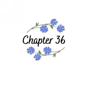 Иллюстрация к книге — Свобода [book-illustration-27.webp]