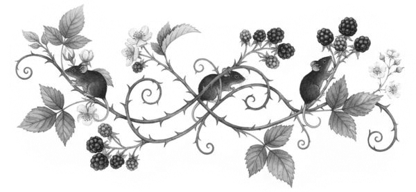 Иллюстрация к книге — Потусторонние истории [book-illustration-2.webp]