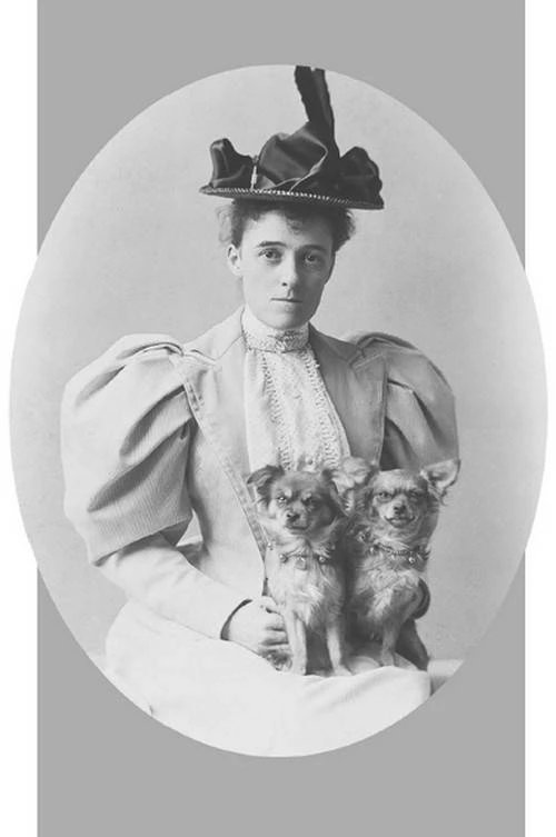 Иллюстрация к книге — Потусторонние истории [book-illustration.webp]