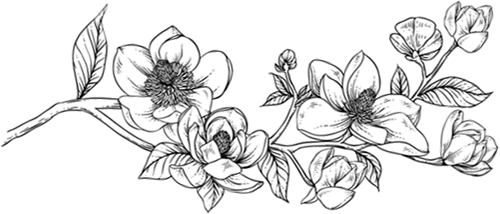 Иллюстрация к книге — До тебя [book-illustration.webp]