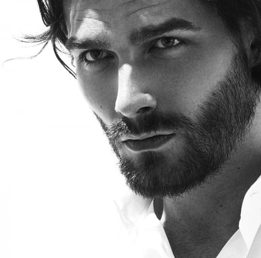 Иллюстрация к книге — Жена кузнеца [book-illustration-6.webp]