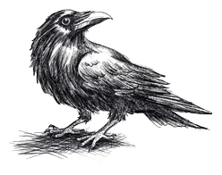 Иллюстрация к книге — Солнце, уснувшее в ладонях ведьмы [book-illustration-55.webp]