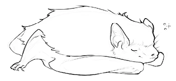 Иллюстрация к книге — Солнце, уснувшее в ладонях ведьмы [book-illustration-9.webp]