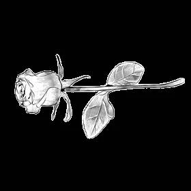 Иллюстрация к книге — Баллада о призраках и надежде [book-illustration-3.webp]