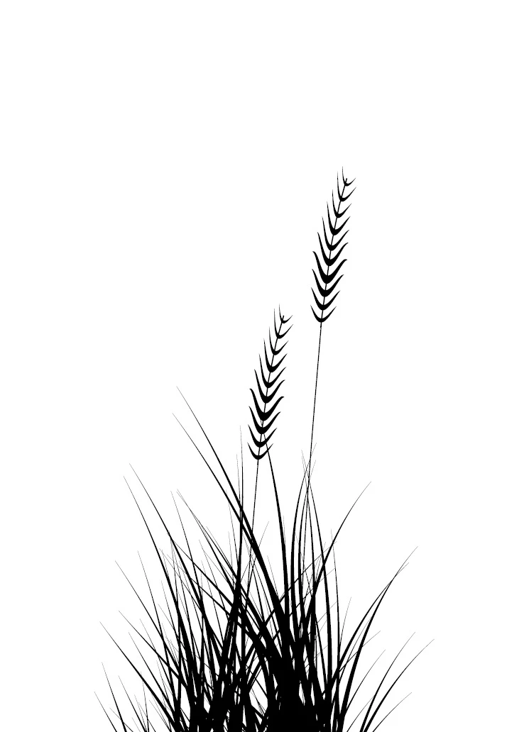 Иллюстрация к книге — Аир. Хозяин болота [book-illustration-13.webp]