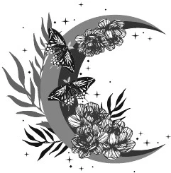 Иллюстрация к книге — Свет, ставший ядом [book-illustration-16.webp]