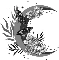 Иллюстрация к книге — Свет, ставший ядом [book-illustration-99.webp]