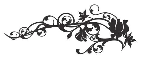 Иллюстрация к книге — Леди тьмы [book-illustration-1.webp]