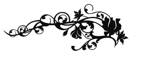 Иллюстрация к книге — Леди тьмы [book-illustration-12.webp]