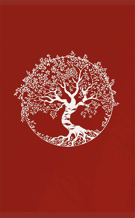 Иллюстрация к книге — Слово Вирявы [book-illustration-11.webp]