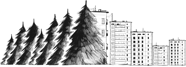 Иллюстрация к книге — Слово Вирявы [book-illustration-2.webp]