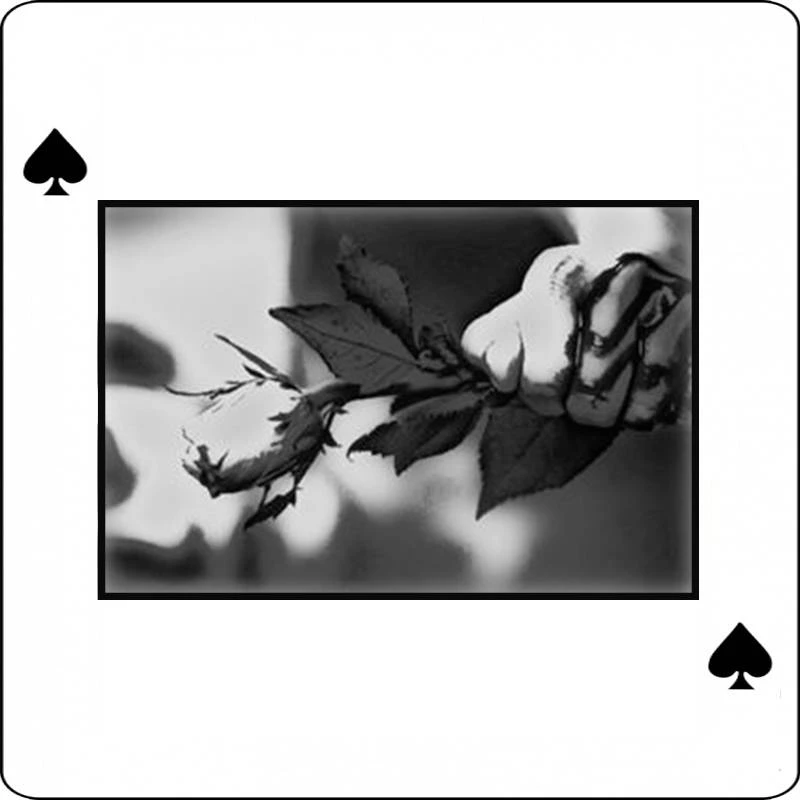 Иллюстрация к книге — Как карта ляжет. Пики [book-illustration-1.webp]